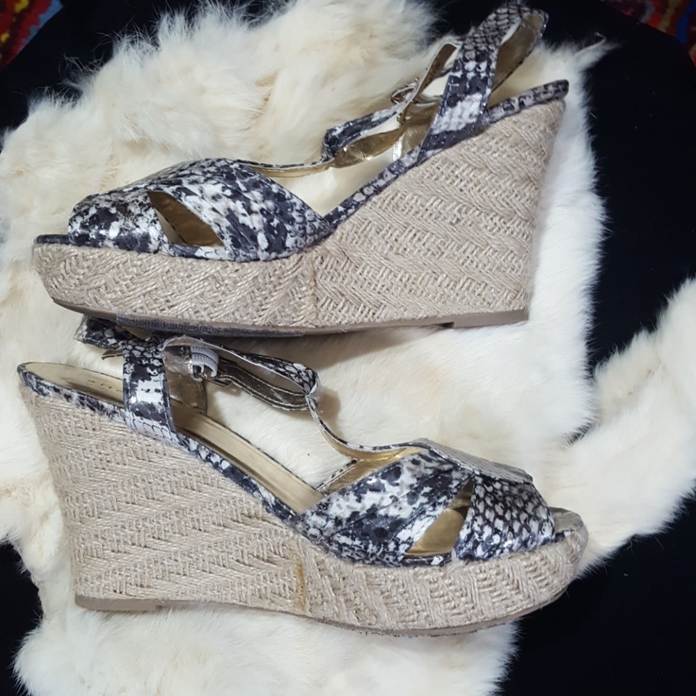 Attention Wedges